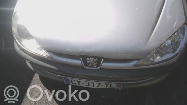Peugeot 206 Etusäleikkö 