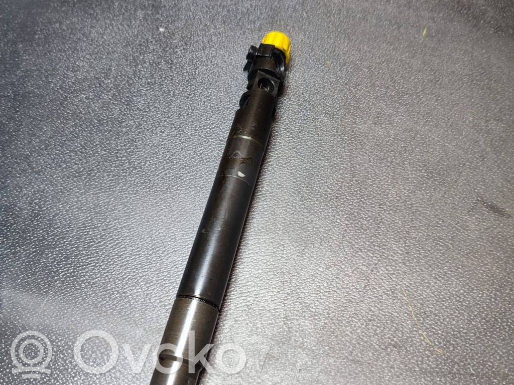 Ford S-MAX Injector combustibil 