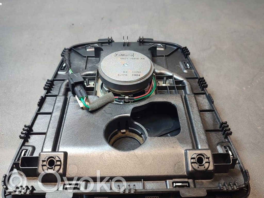 Panel speaker   AM2T18808AB
