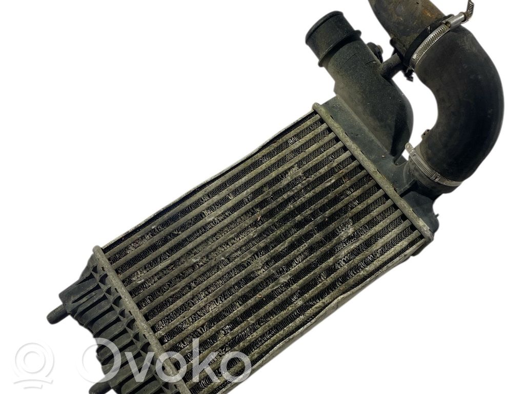 Interkūlerio radiatorius   1340934080,1686898,291120051655