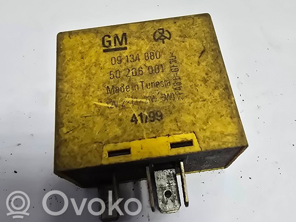 Other relay   09134880,50206001,4190