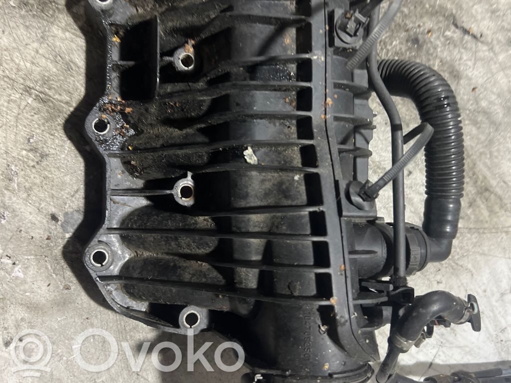 Ford Focus Kolektorius įsiurbimo 