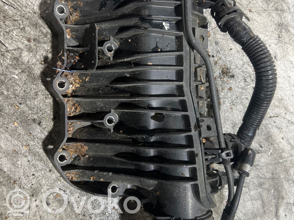 Kolektorius įsiurbimo   1047092S01