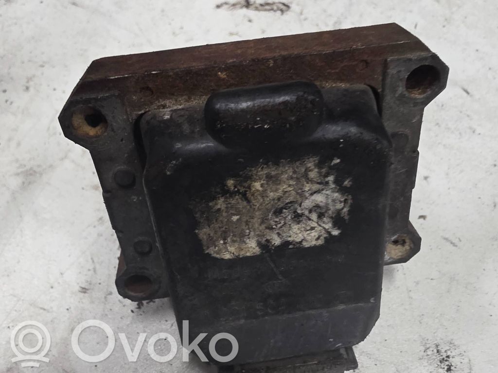 BMW 3 E46 Aukštos įtampos ritė "babyna" 