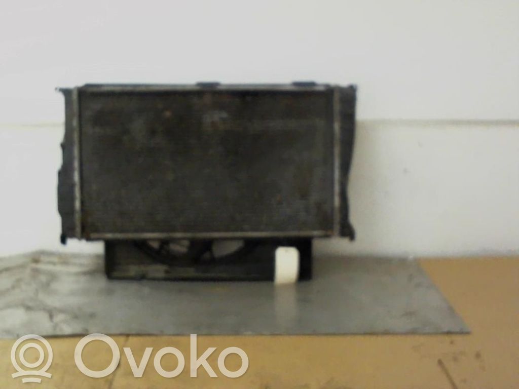 Aušinimo skysčio radiatorius   17117788903