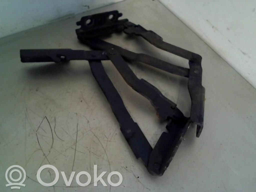 Peugeot 807 Dzinēja pārsega eņģe (-es) 
