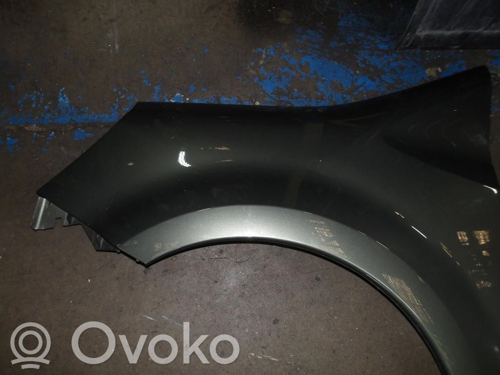 Renault Modus Sparnas 