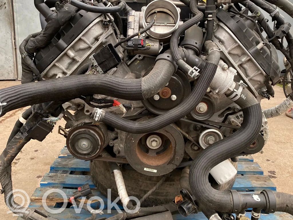 Motor   MF8F