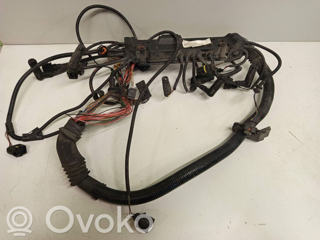Cables de los inyectores de combustible   224941302,755020Z6