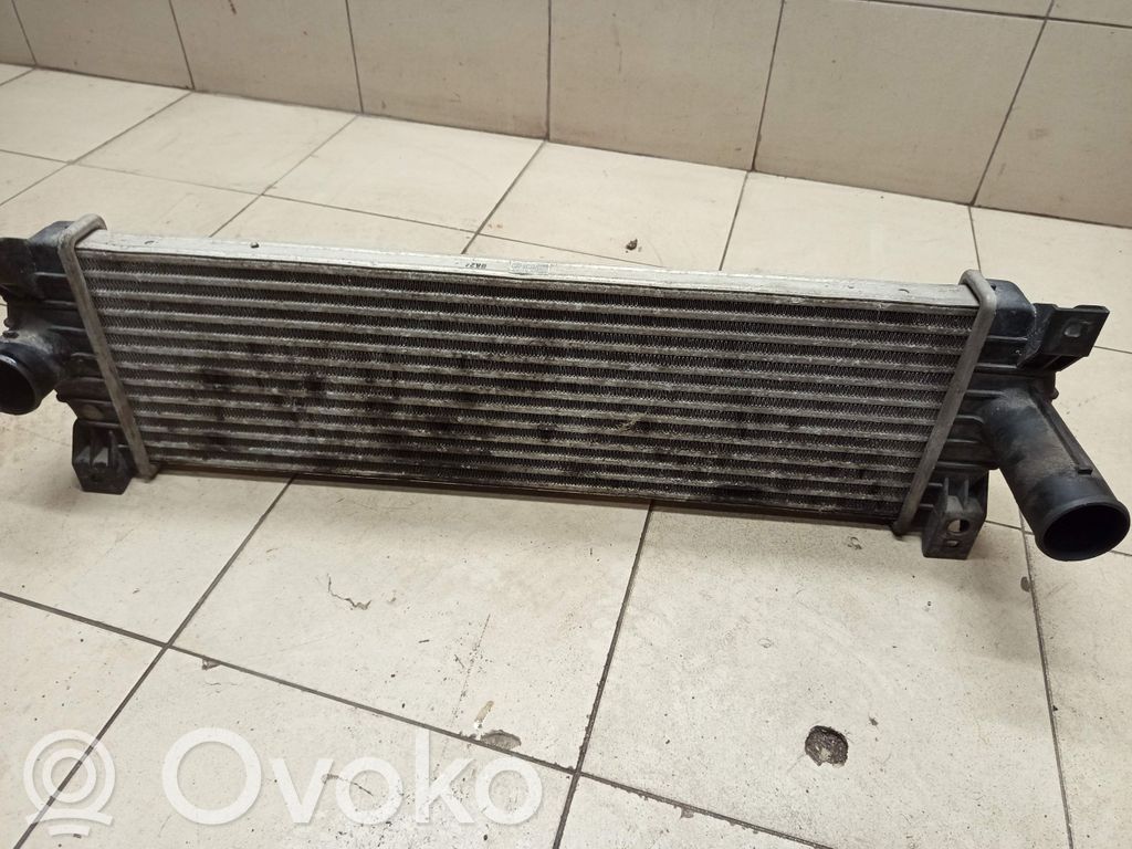 SsangYong Kyron Interkūlerio radiatorius 