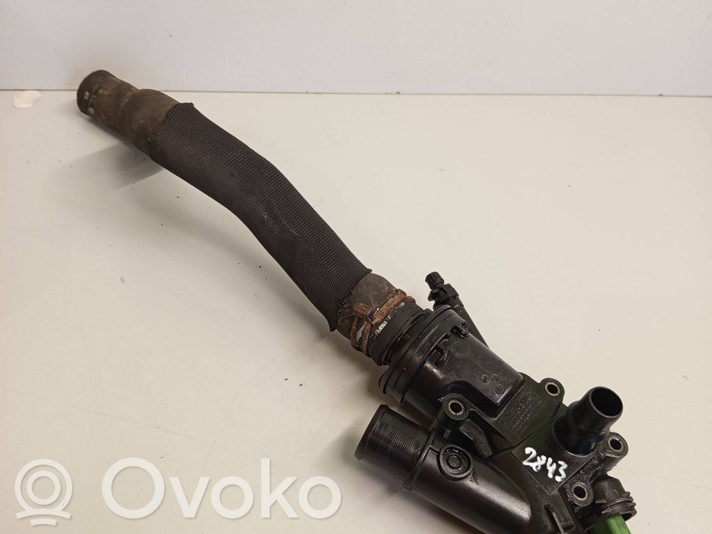 Thermostat   9688628680