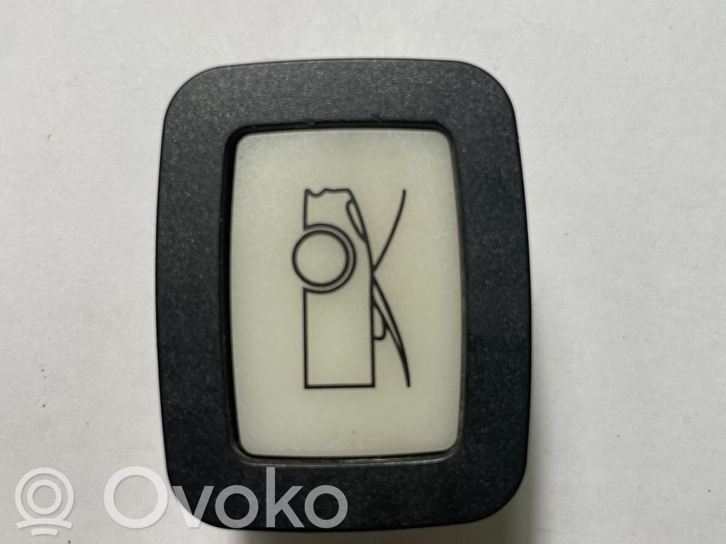 Tesla Model Y Other switches/knobs/shifts 