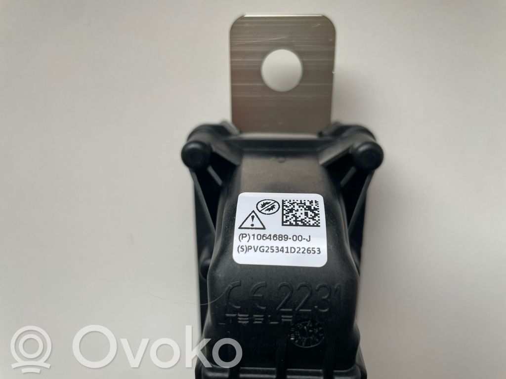 Tesla Model 3 Battery relay fuse 