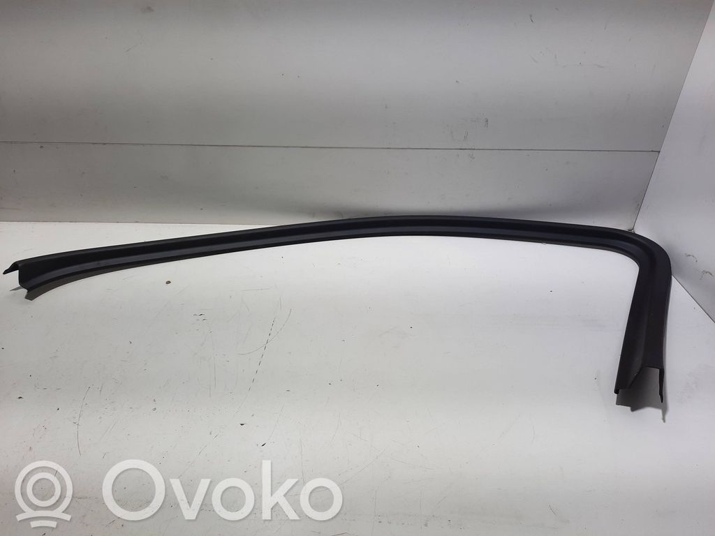 Volkswagen Touareg II Listwa / Uszczelka szyby drzwi przednich 