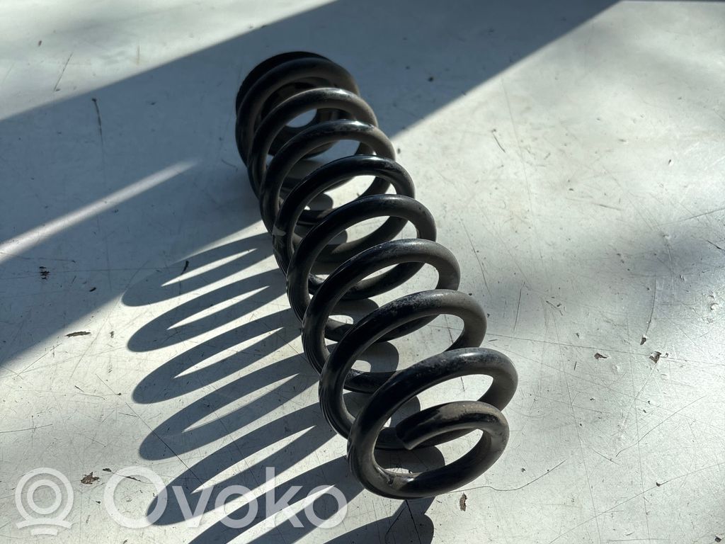 Dacia Spring Rear coil spring 