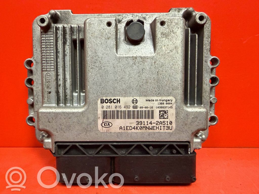Motorsteuergerät/-modul   0281016492,391142A510