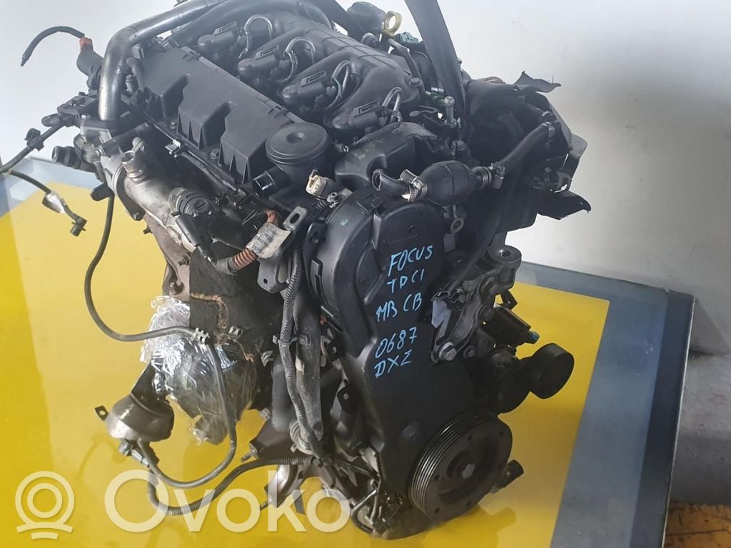 Engine   Q6DA