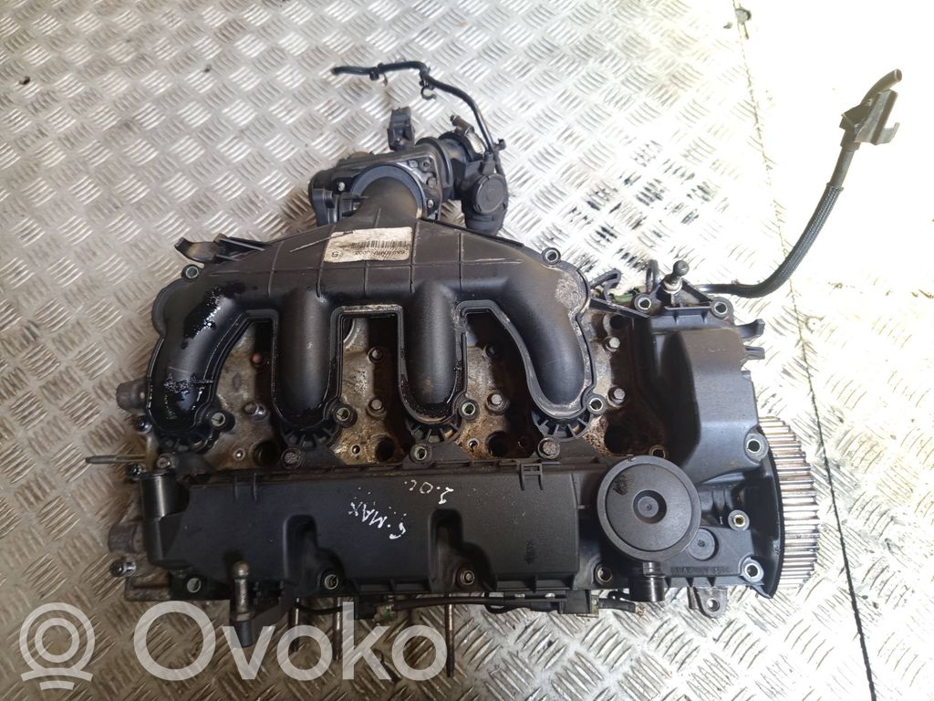Galvutė   9641752610