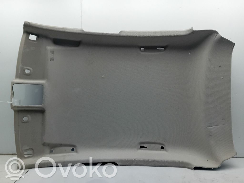 Renault Clio V Dachhimmel 