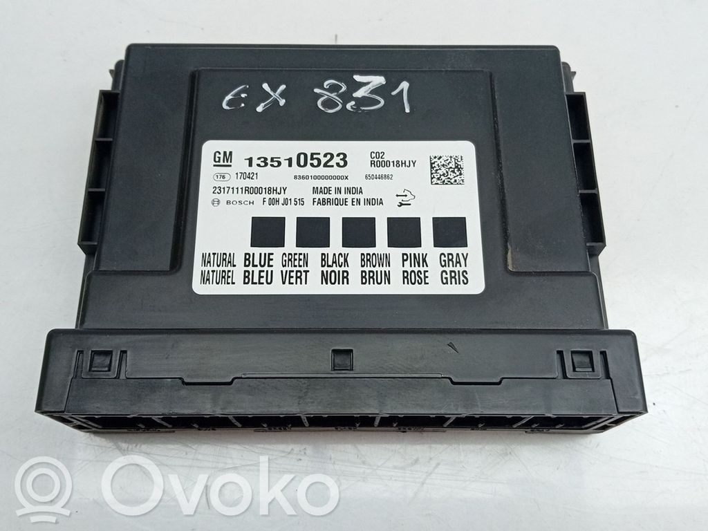 Sonstige Steuergeräte / Module   13510523