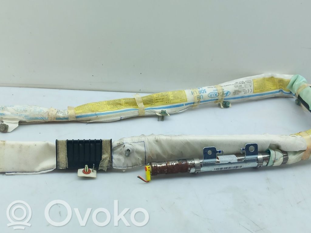 Airbag del techo   850101W000