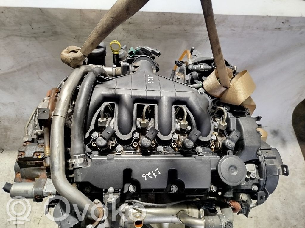 Motor   D4204T