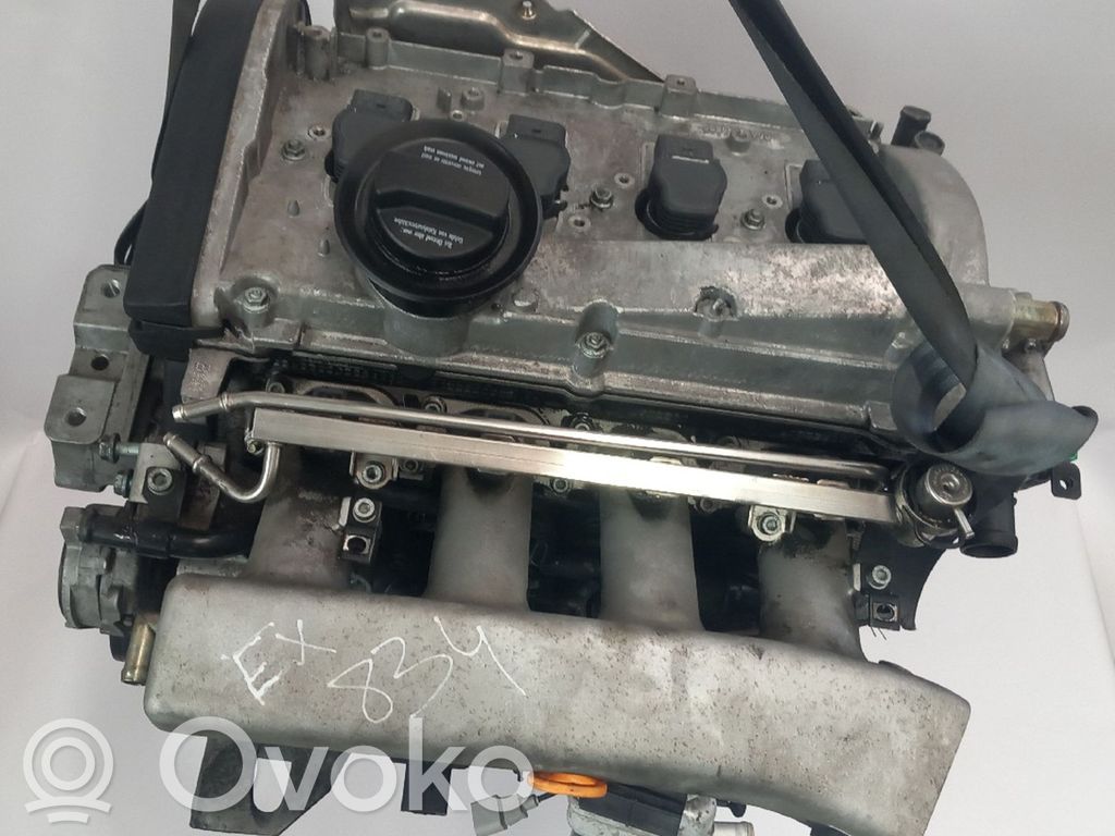 Motor   225CV,165KW,BAM