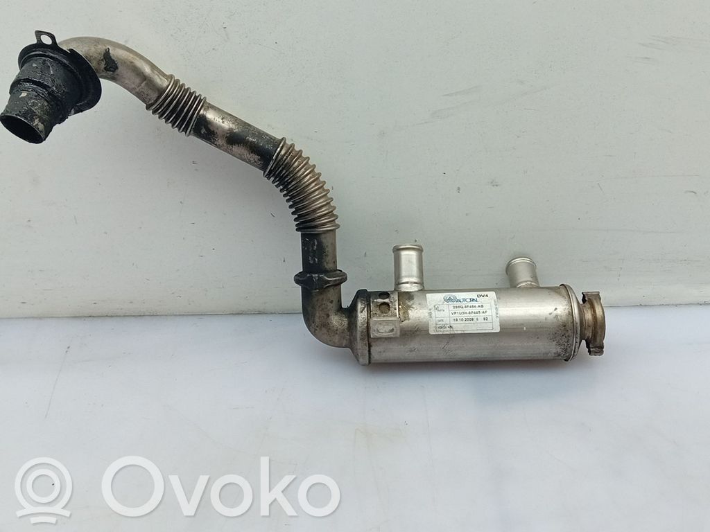 Ford Fiesta Valvola di raffreddamento EGR 