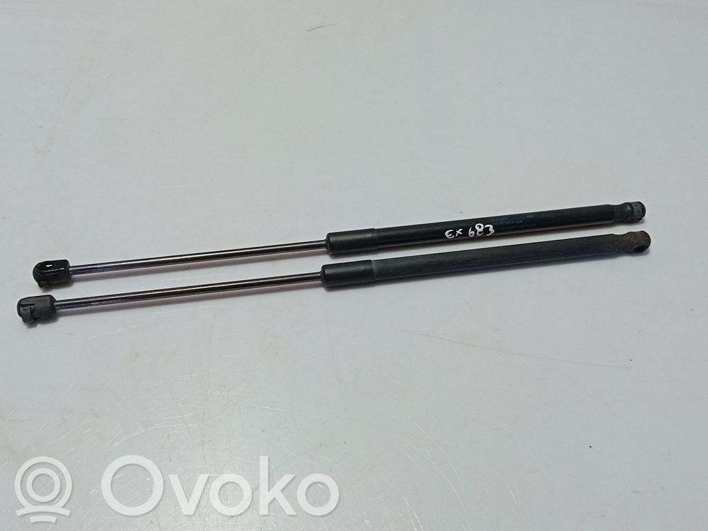 Volkswagen Polo V 6R Amortizor capotă motor 