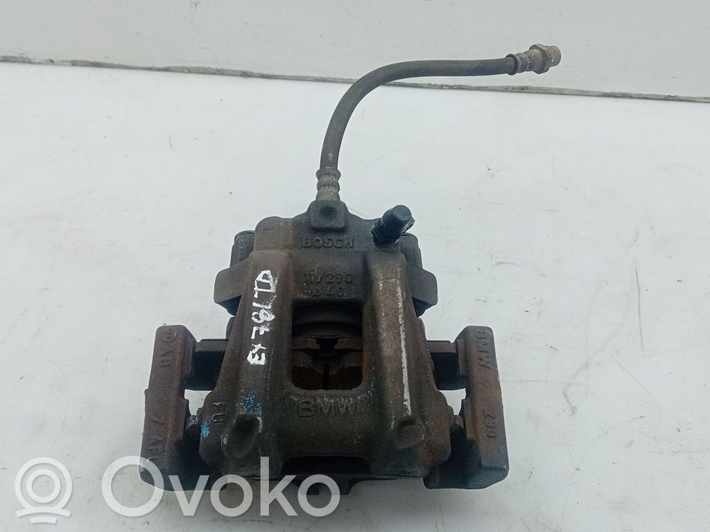 Takajarrusatula   W09123