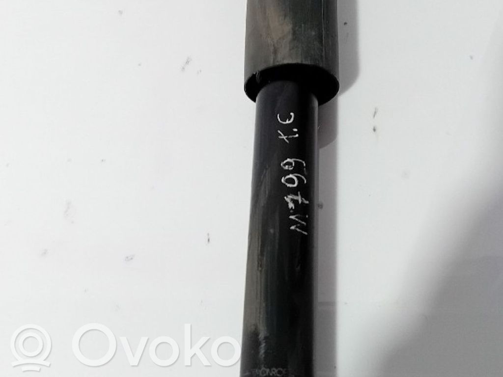 Stoßdämpfer hinten   3188901
