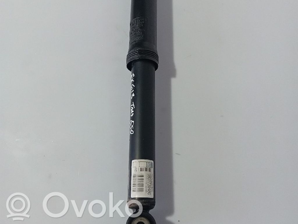 Stoßdämpfer hinten   9801739480