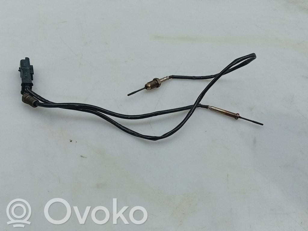 Sonda lambda   9812376480