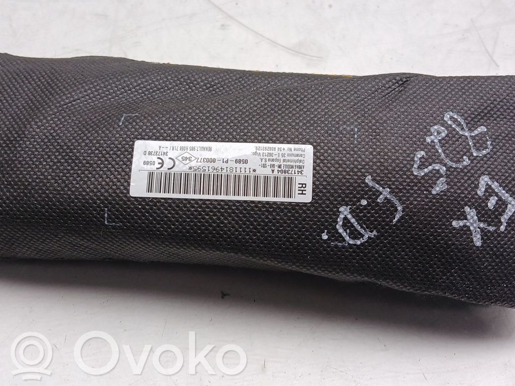 Airbag del asiento   34173804