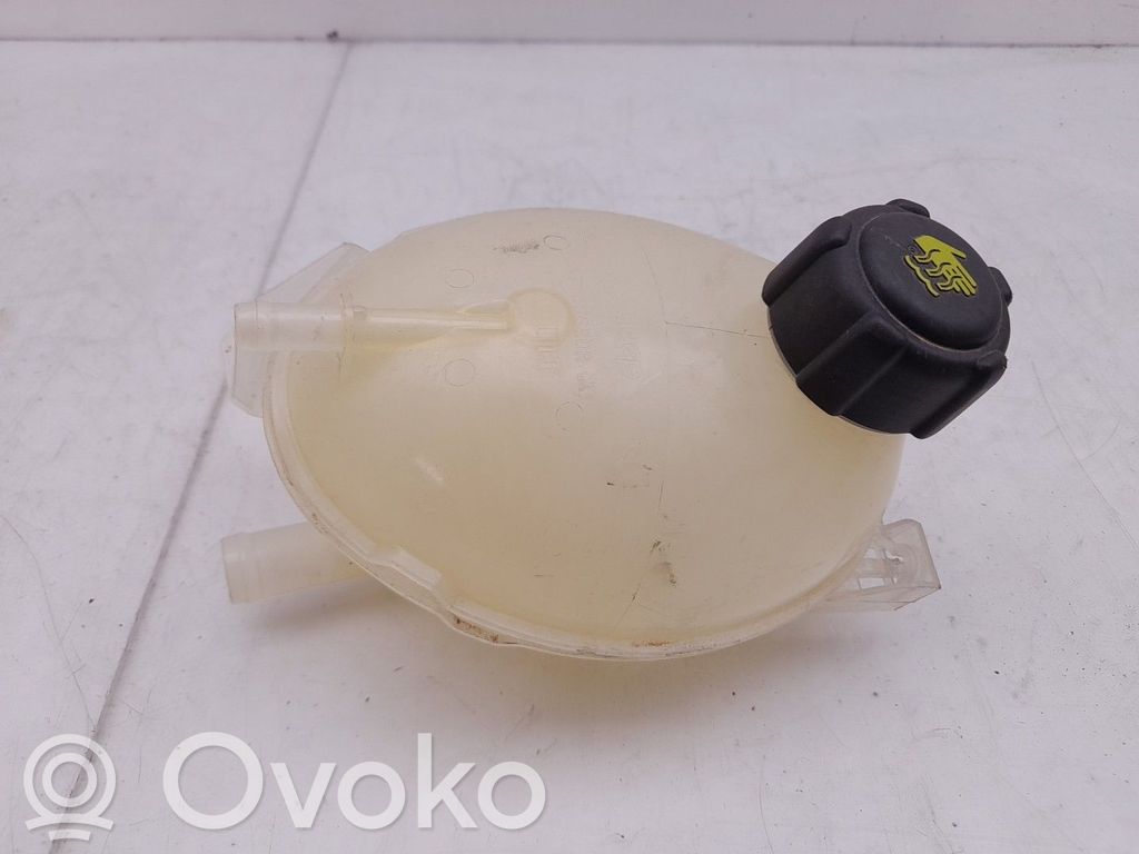 Renault Clio IV Serbatoio di compensazione del liquido refrigerante/vaschetta 