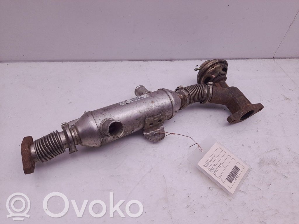 Peugeot 307 Răcitor supapă EGR 