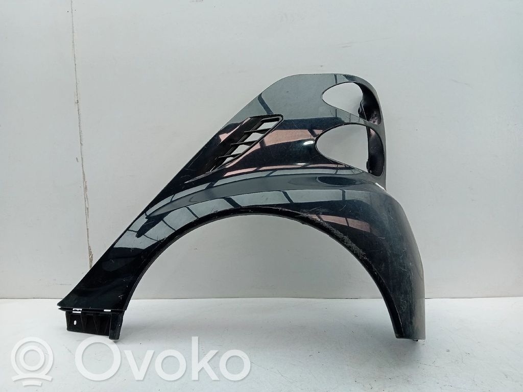 Błotnik przedni   A4518820101,TRASEIROESUERDO