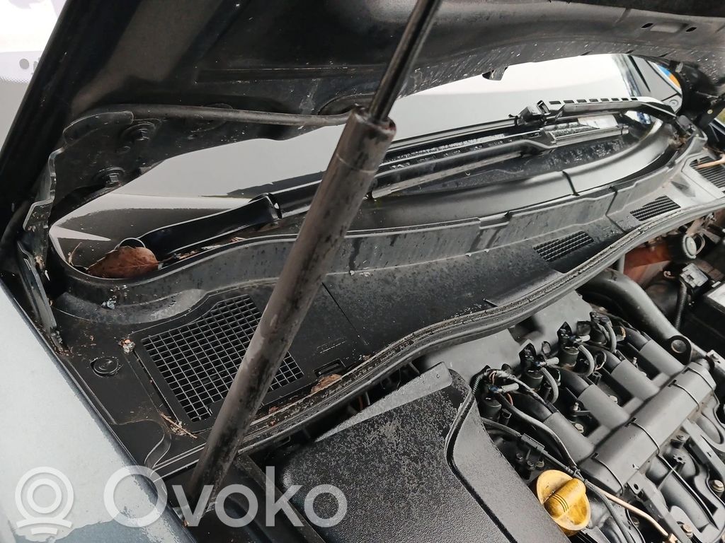 Renault Vel Satis Rivestimento del tergicristallo