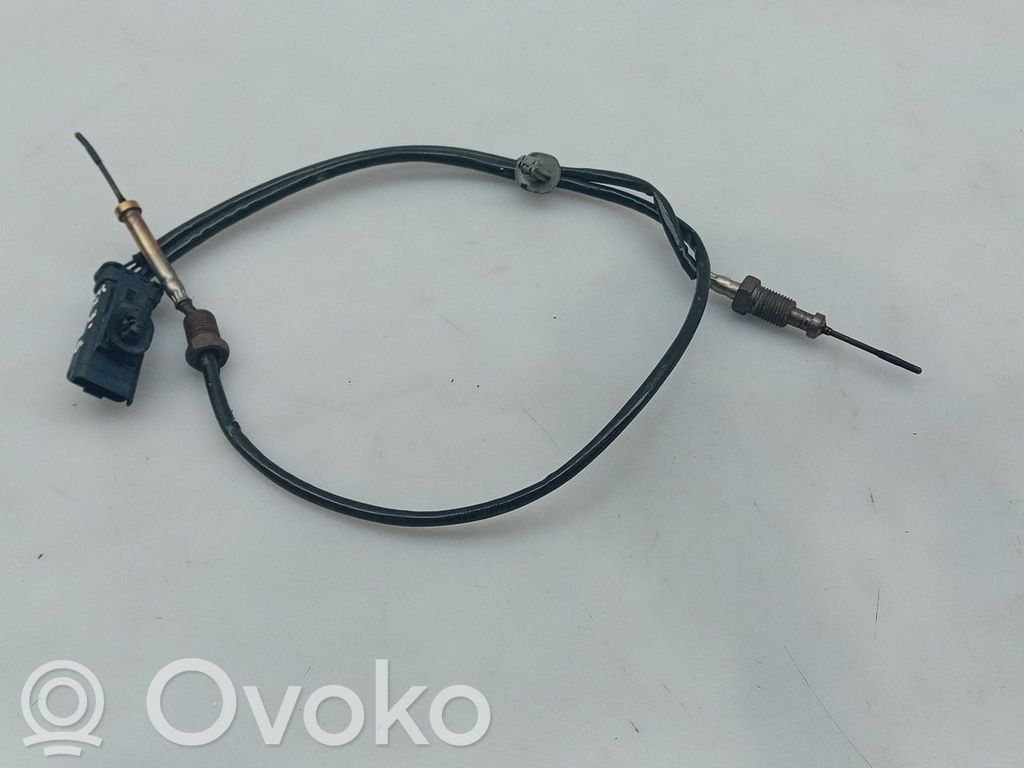 Sonda lambda   9812376480