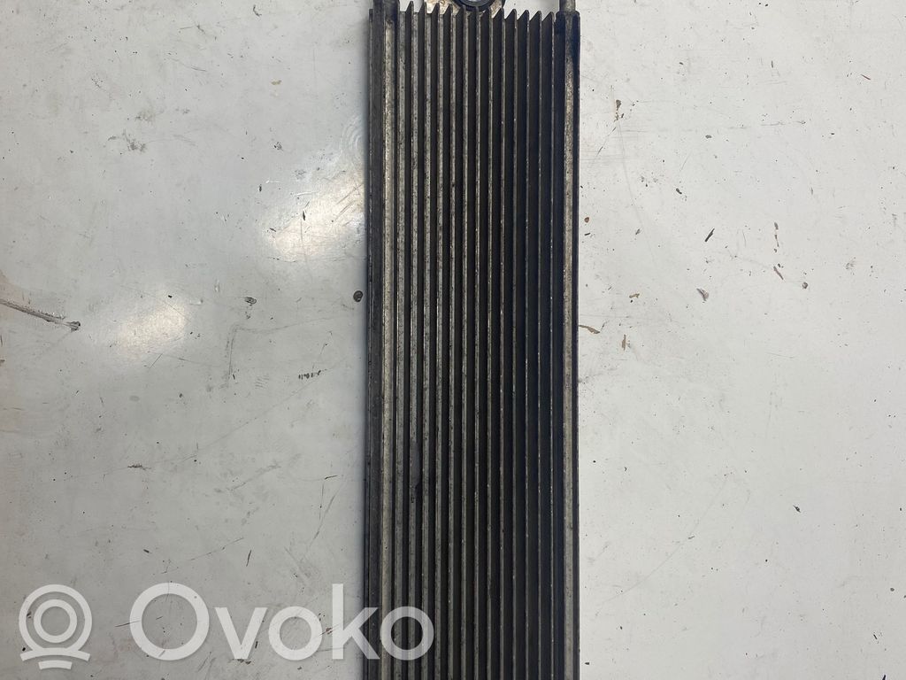 Volkswagen PASSAT B6 Calentador del filtro de combustible 