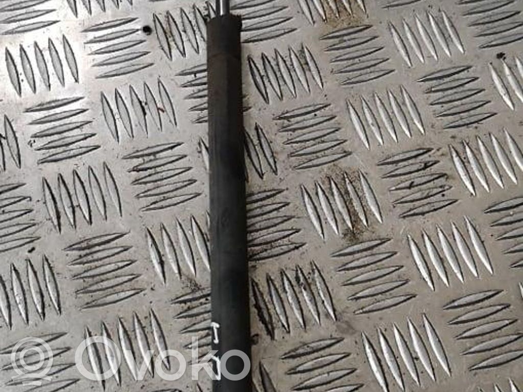 Ford Focus Amortizatorius galinio dangčio 