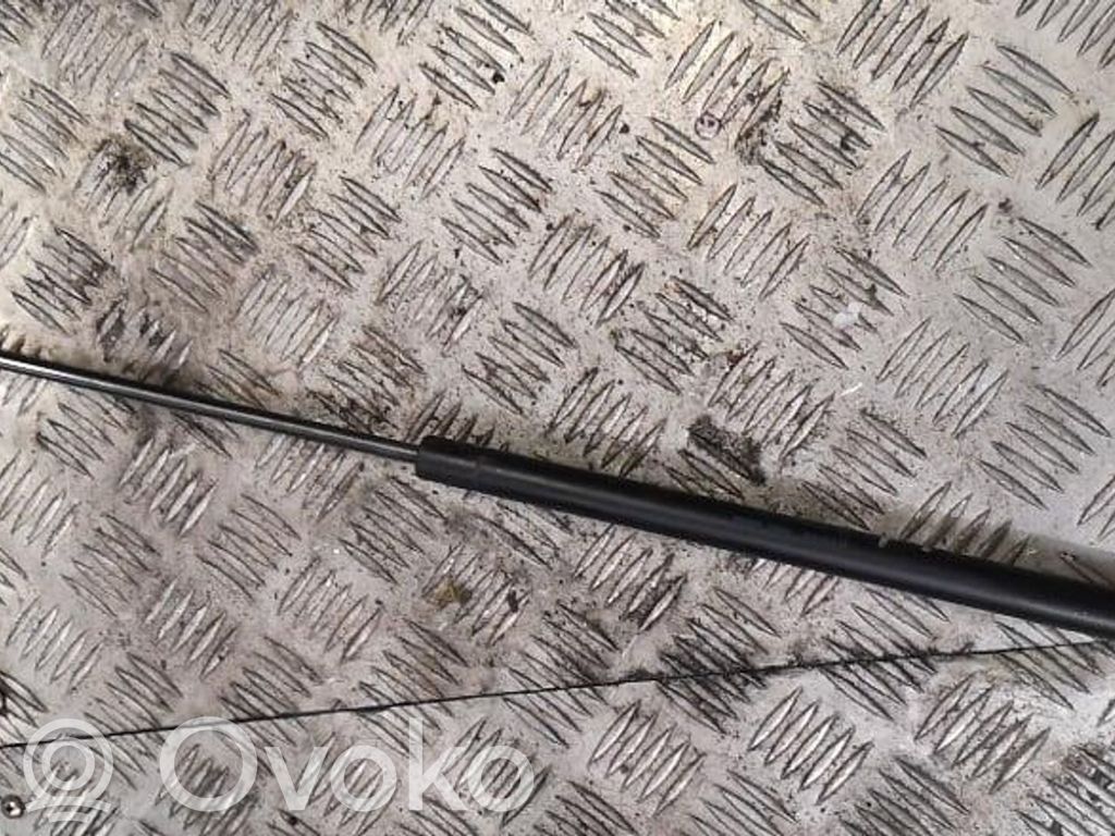 Ford Focus Tailgate/trunk strut/damper 