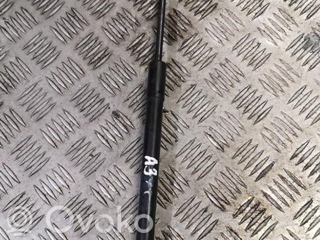Tailgate/trunk strut/damper   8P4827552B