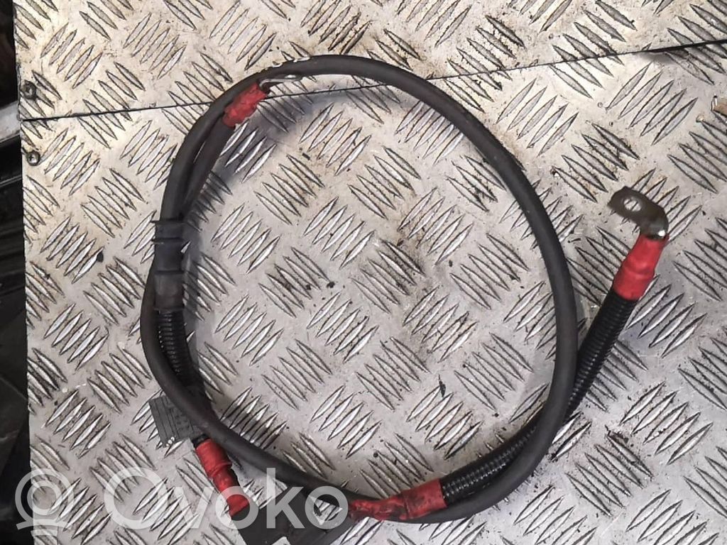 Positive cable (battery)   7524631