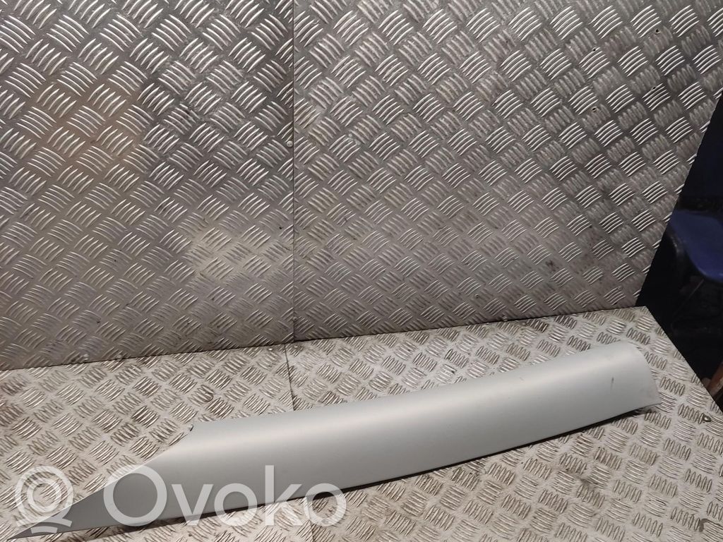 Tesla Model 3 (C) statramsčio apdaila 