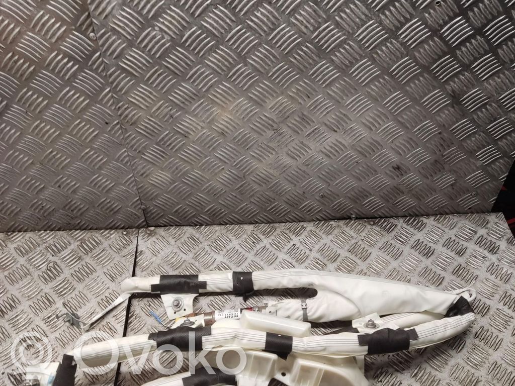 Kopfairbag   1077828CNE