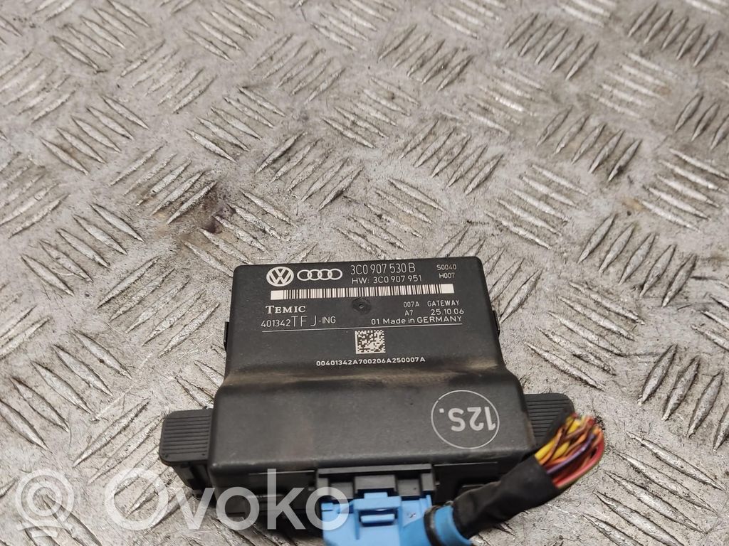 Gateway control module   3C0907530B