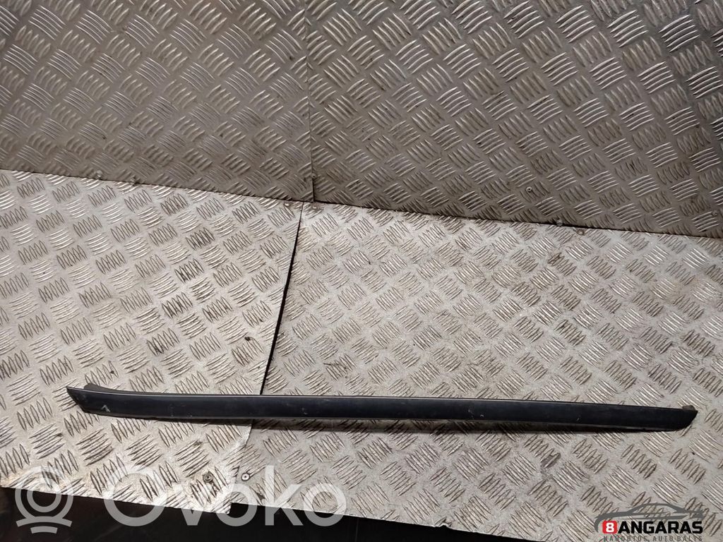 Windshield trim   30784797