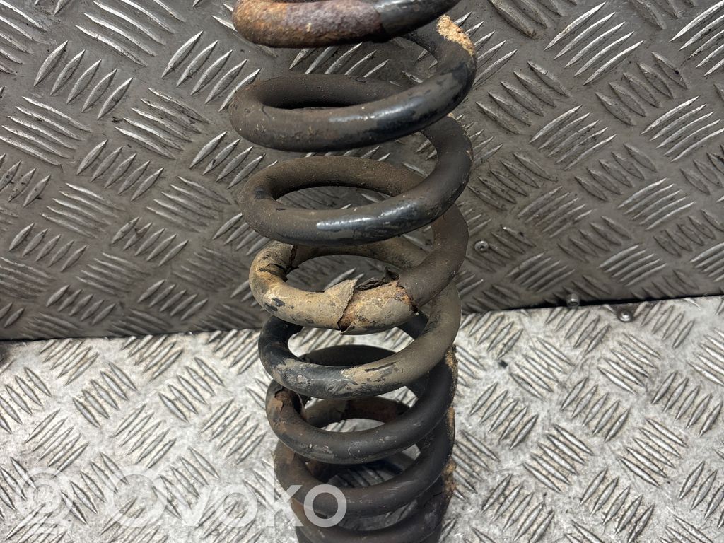 Rear coil spring
