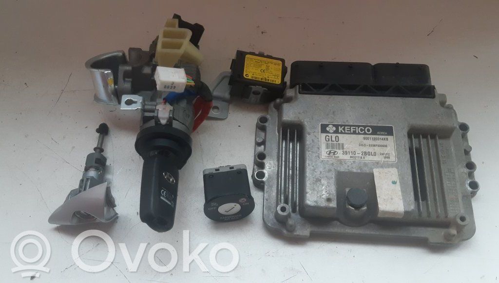 Sterownik / Moduł ECU   391102BGL0,391102BGL0,95420A570C